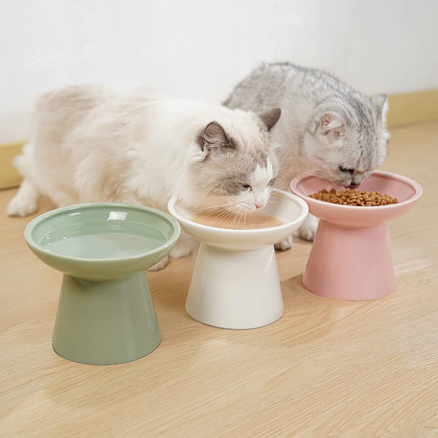 陶瓷猫碗：猫咪吃饭新姿势，告别打翻与不适！