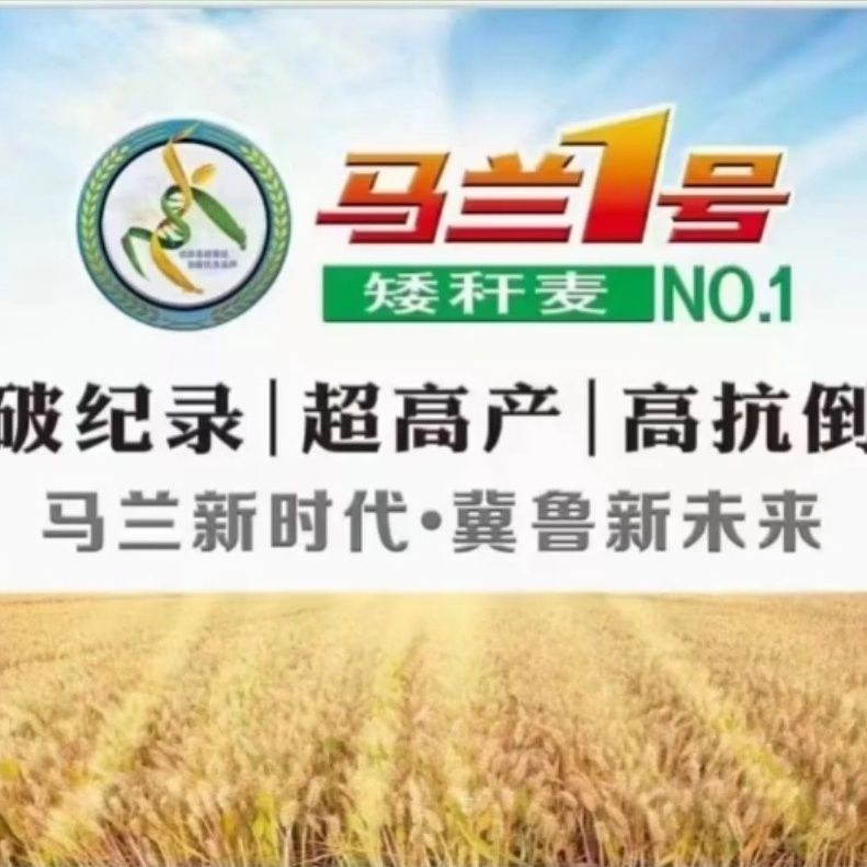 超声引导下肌骨介入治疗：解锁杰德拉·马兰加编著的肌骨超声新世界！