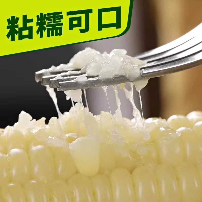 黑玉米与黄玉米，你吃对了吗？
