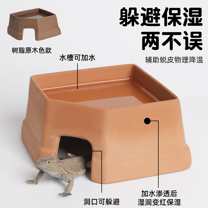 睫毛守宫的梦幻新家：造景屋躲避屋，开启你的异宠冒险之旅！