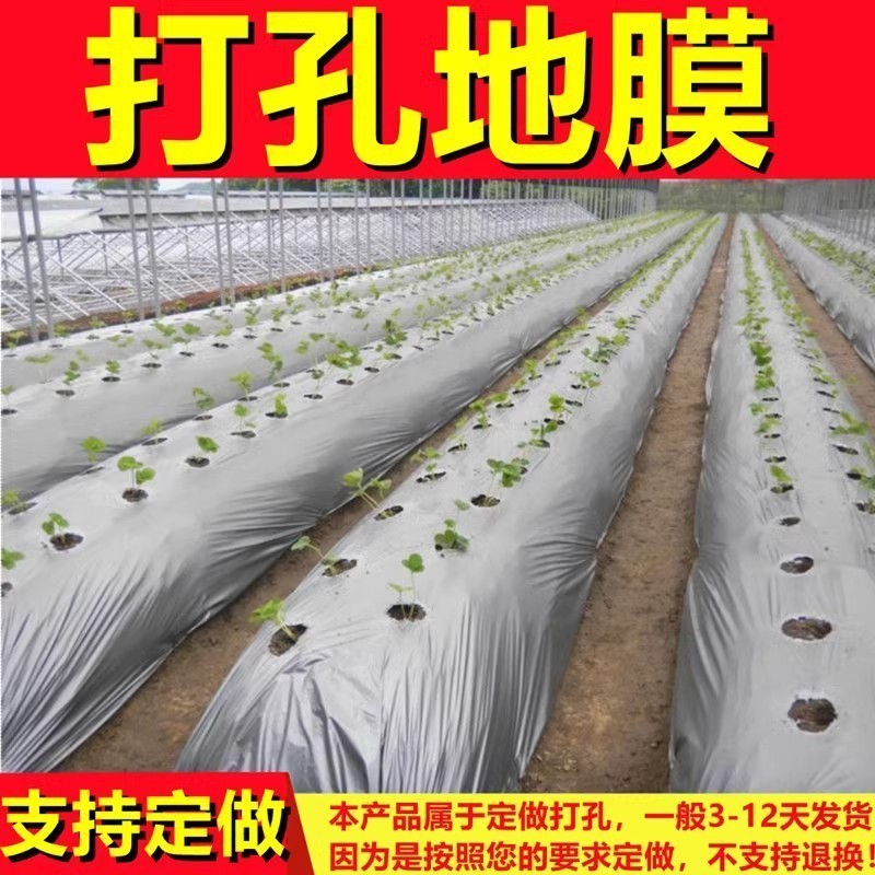 打孔地膜黑地膜银黑地膜：农用种植除草神器，羊肚菌专用带孔保温保湿除草新趋势