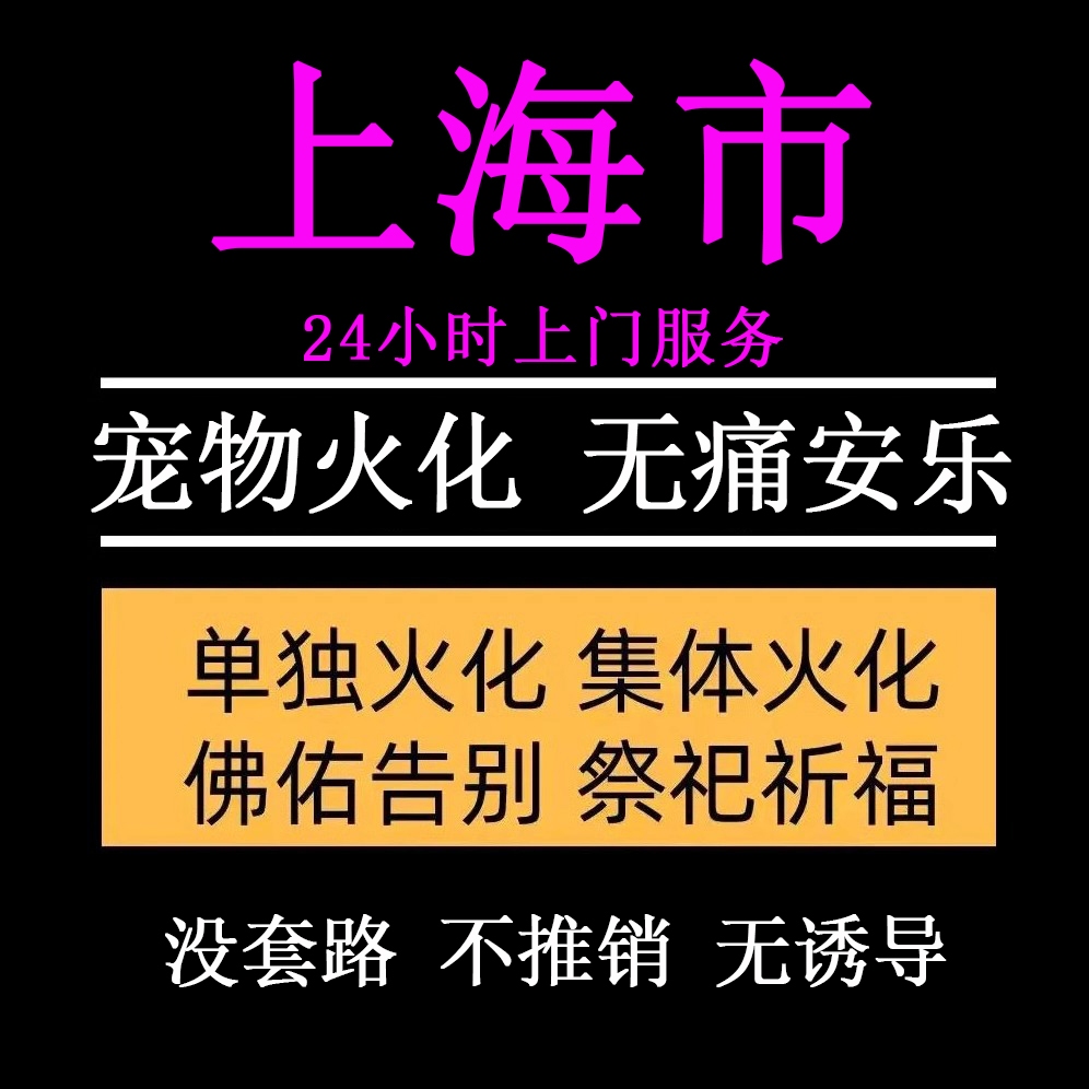 上海宠物火化服务：给毛孩子最温柔的告别❤️