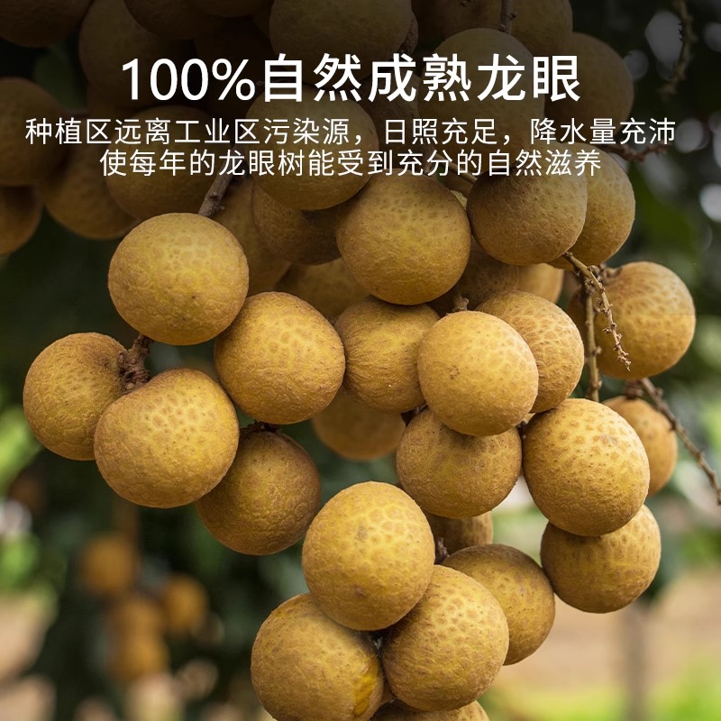 阿旺6A龙眼干：当季新货，莆田桂圆干独立装，528g超值尝鲜！