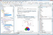 oXygen XML Author (x64)17.1