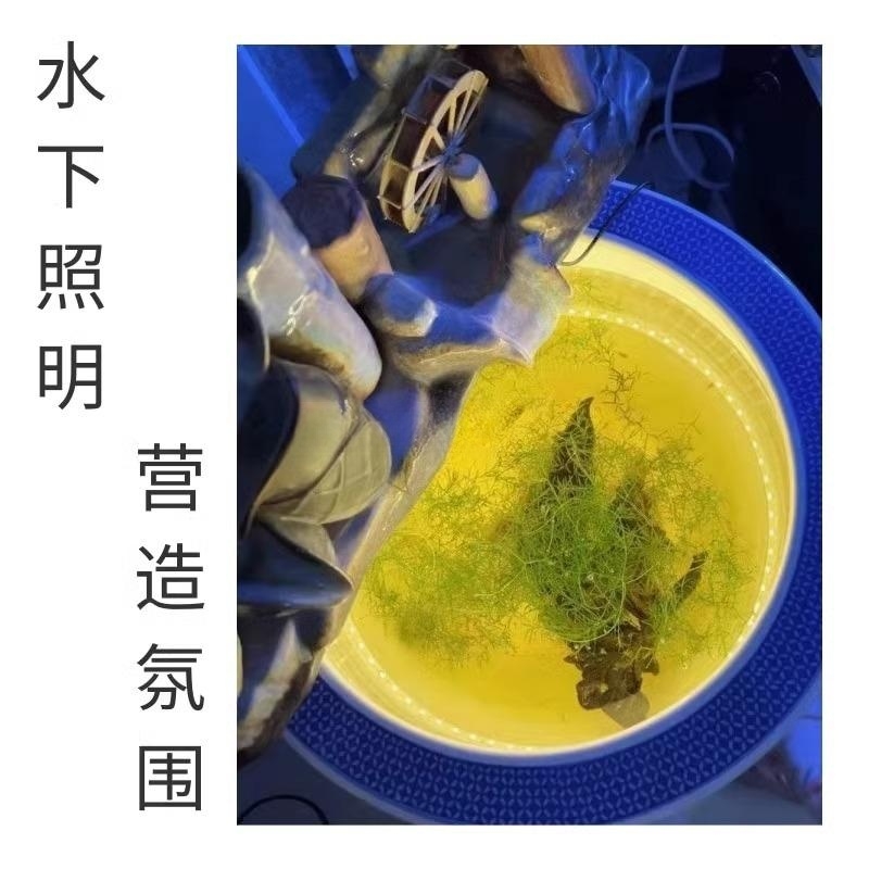 赶海水下灯200W透镜款：夜幕下的捕鱼高手，超亮防水灯照亮深海的秘密！