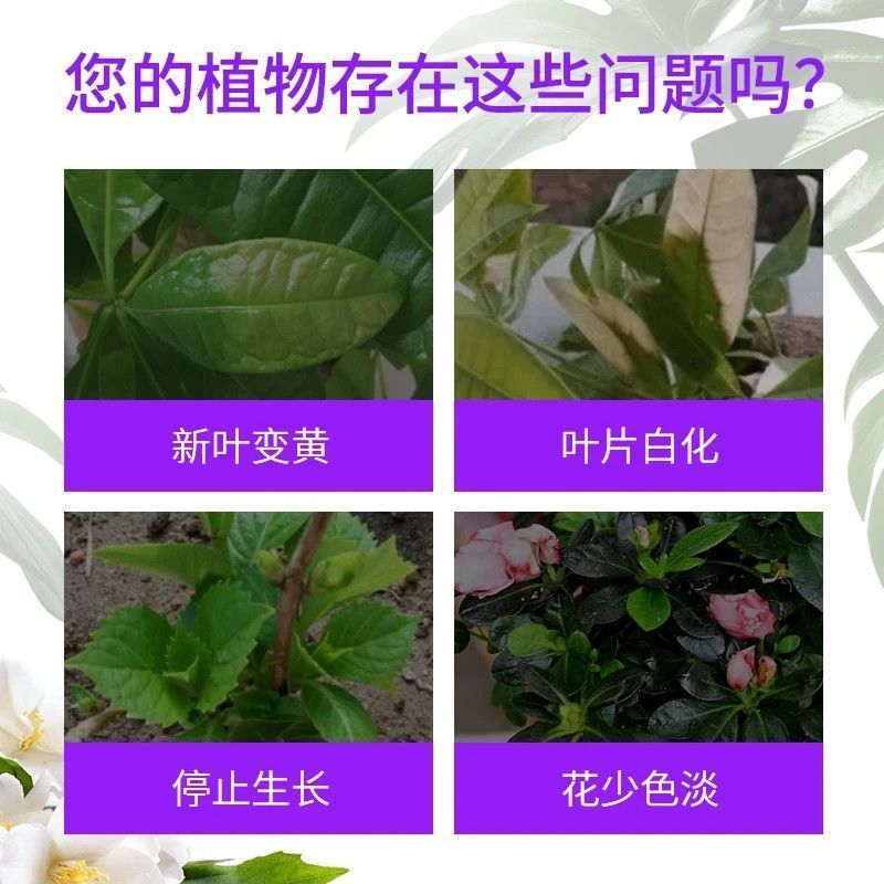 酸宝宝硫酸亚铁：拯救喜酸植物，告别黄叶难题