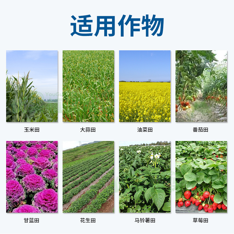 先正达金都尔：玉米棉花大豆的守护神，苗前封闭封地除草剂农药详解