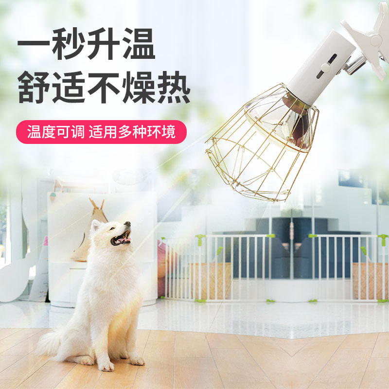 宠物保温灯可调温度器：宠物温暖过冬的秘密武器