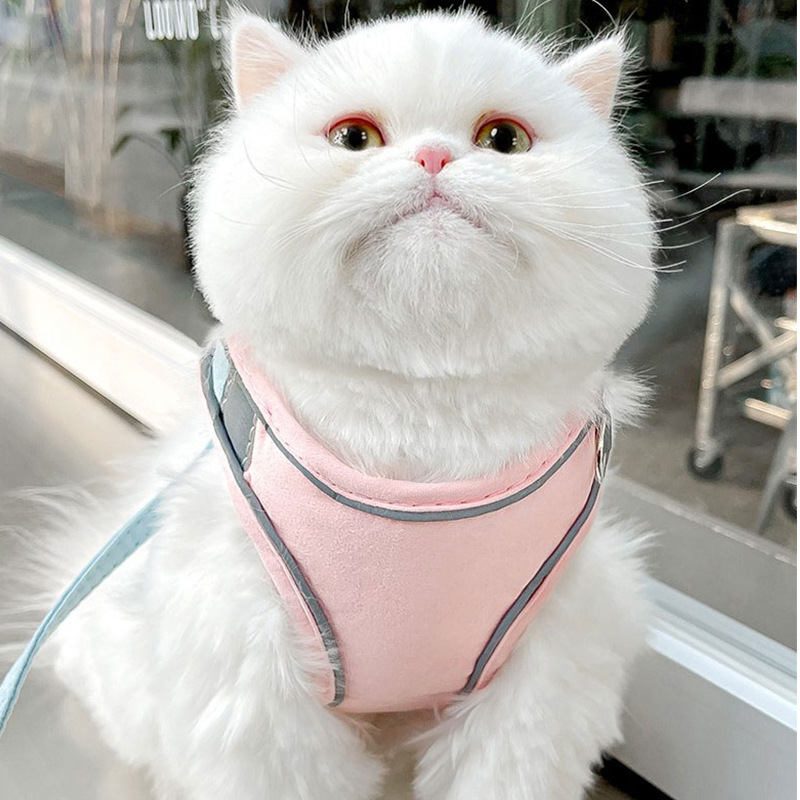 猫咪牵引绳牛仔胸背带：遛猫神器，让你的萌宠安全出行！