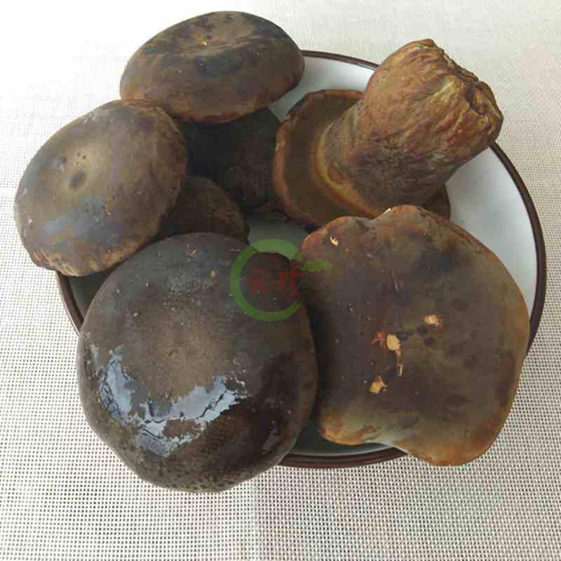 云南新鲜牛肝菌500g：山珍美味，煲汤火锅必备！