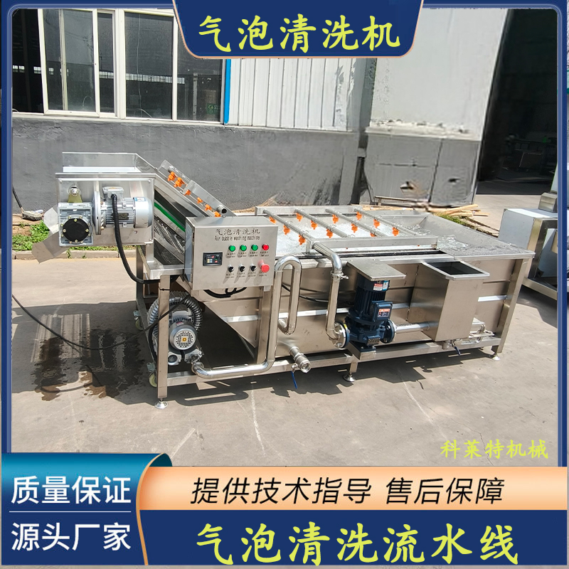 全自动果蔬气泡清洗机：中药材与海鱼的清洁革命，高压喷淋式如何改变清洗行业？