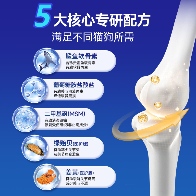 拉布拉多一辈子认几个主人？揭秘忠诚狗狗的秘密，建议收藏！