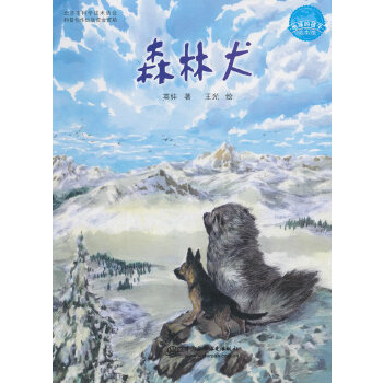 无线通信：揭秘杨鸿文李卫东著作中的通信革命