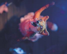 Dragfox