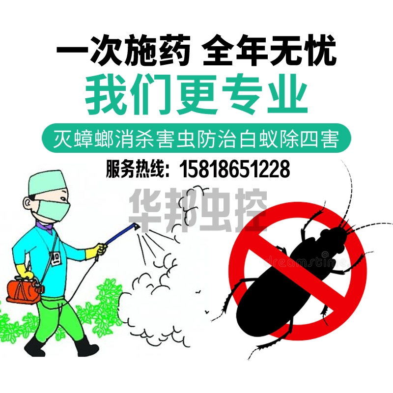 深圳上门灭蟑螂：专业除蟑螂杀虫，守护家庭健康，告别臭虫烦恼！
