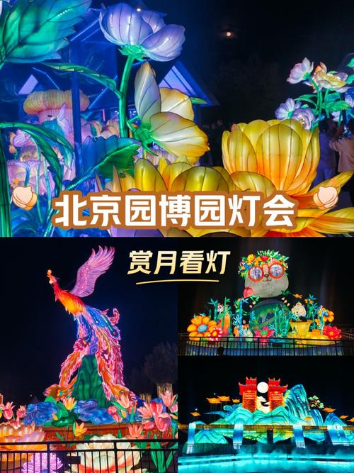 通灵式神-秋日灯会,秋日灯会的起源