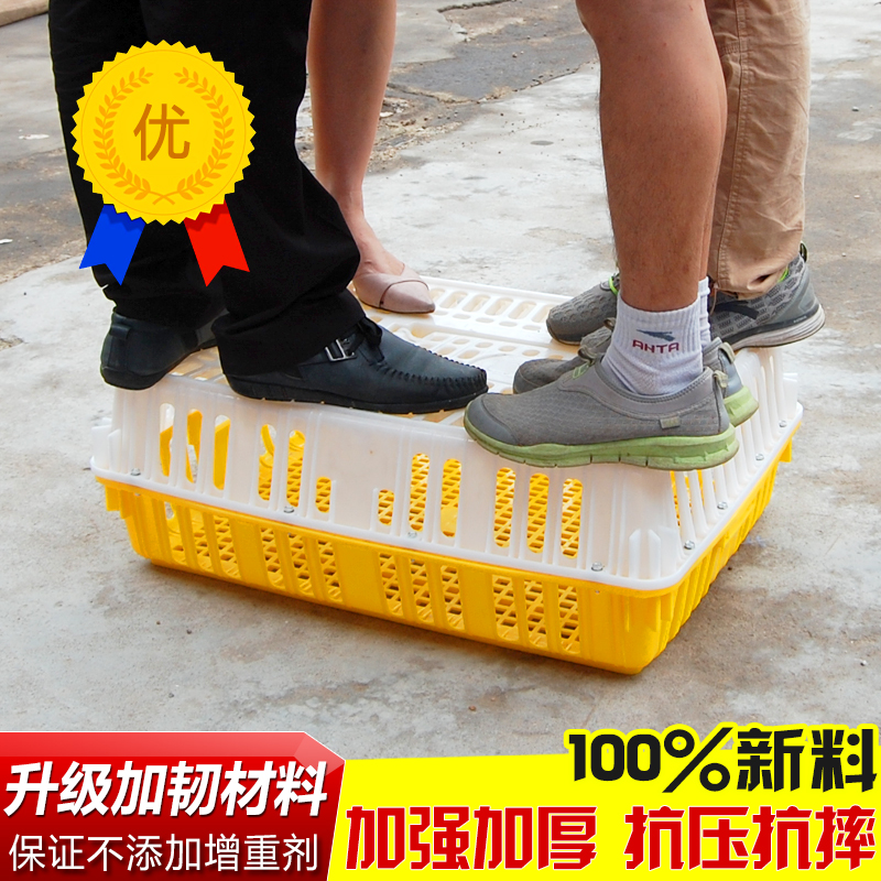 塑料家禽周转箱：养鸡养鸭养鹅养鸽子的必备神器！你还在用传统笼子吗？
