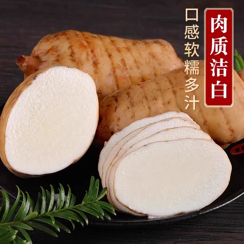 天麻特级正品，仿野生新鲜中药材，云南昭通小草坝，让你体验真正的自然力量