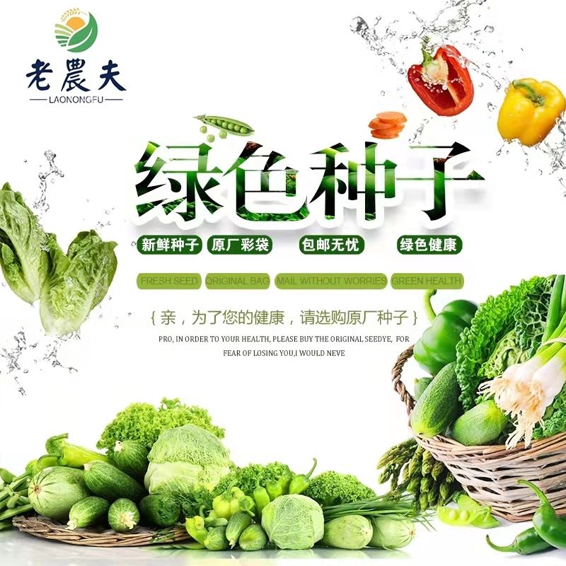 黄金价格现货走势图：揭秘2024年金价走势，别再被割韭菜！