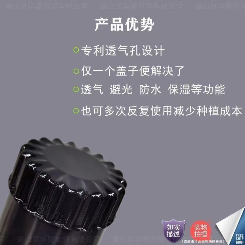 韭黄种植黑罩子：解锁韭黄生长的秘密武器，告别传统遮光方式！