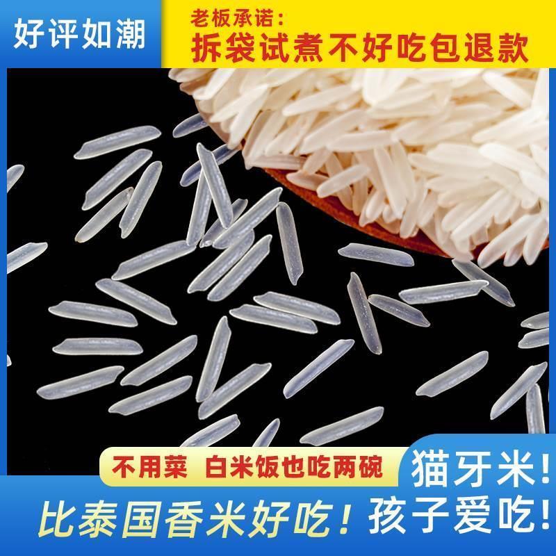 特级猫牙米10斤泰国香米：丝滑口感的秘密武器，让你的煲仔饭升级！✨