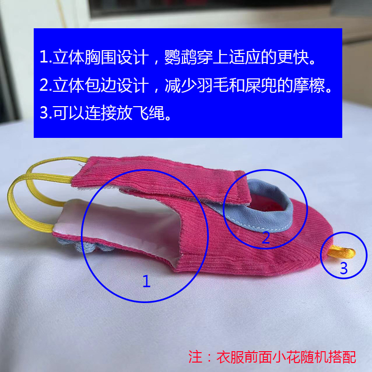 萌趣多鹦鹉屎兜尿裤：给你的小鹦鹉穿上最萌的“尿不湿”