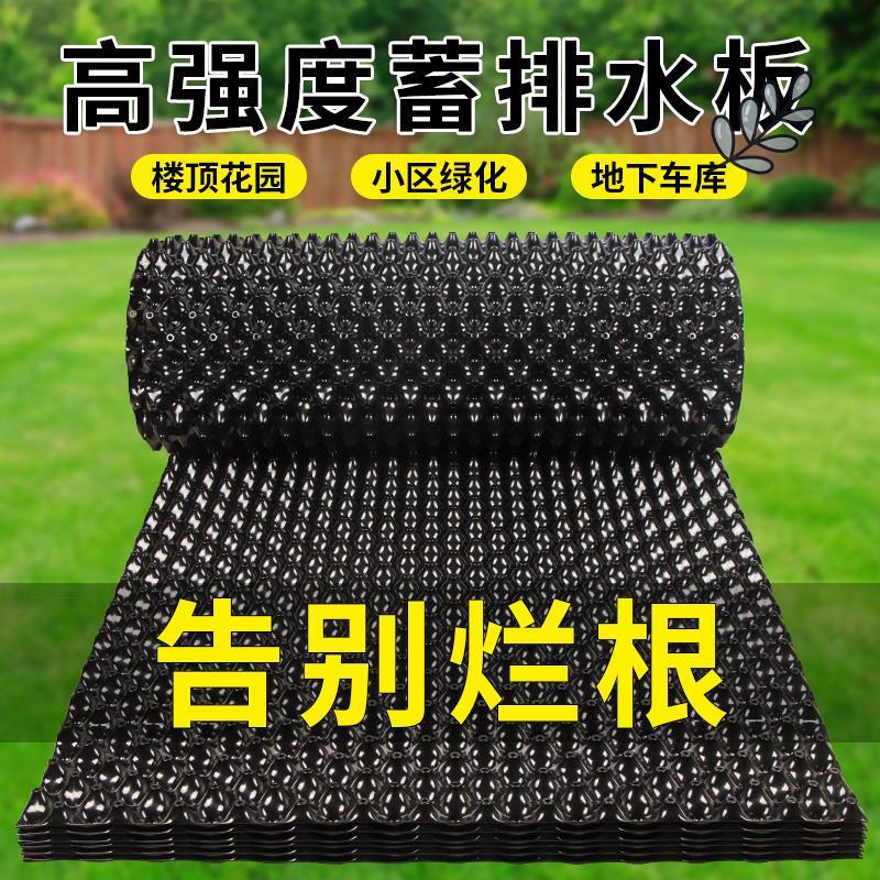 透气垫+滤水板=植物养护神器！你的绿植也需要呼吸SPA