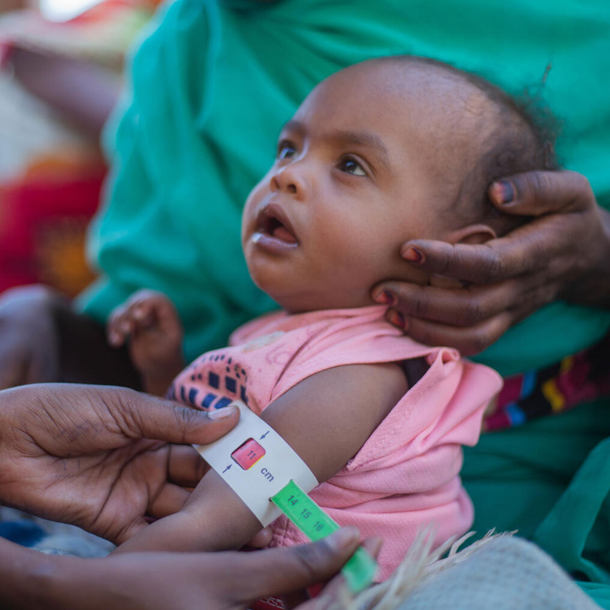 【儿童营养应急礼包】爱心传递，守护未来——联合国儿童基金会UNICEF公益行动