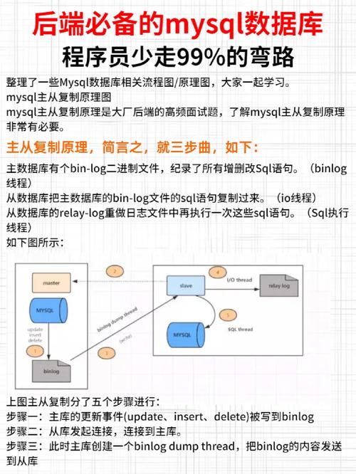 mysql数据库程序设计,MySQL数据库程序设计概述