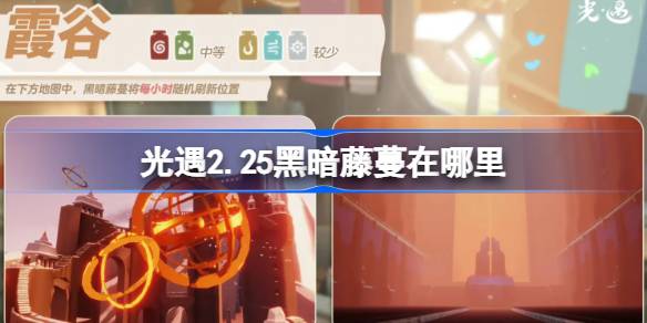 光遇2.25黑暗藤蔓在哪里 光遇2月25日染料位置攻略