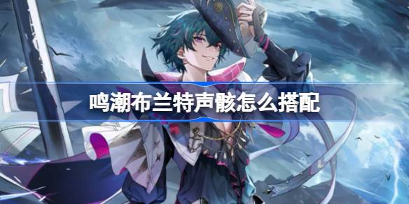 鸣潮布兰特声骸怎么搭配 鸣潮布兰特声骸推荐