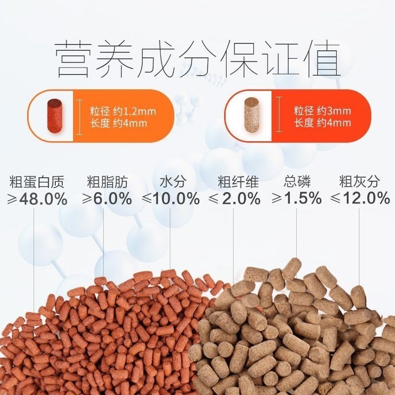 巴卡雷龙原产地捕捞，海洋的馈赠，每一口都是新鲜的滋味！