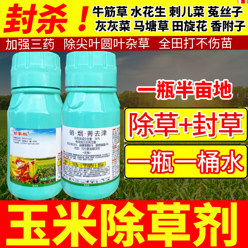 玉米田除草秘籍：农药店必买的苗后专用除草剂，去莠去津硝烟！