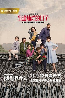 生逢灿烂的日子网络版