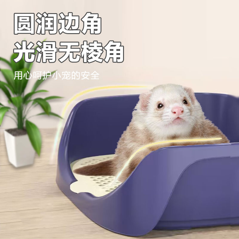 雪貂宠物：揭秘萌宠界的“小精灵”——安格鲁貂与水獭幼崽般的花貂