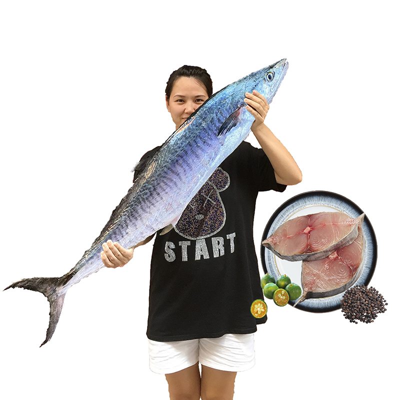 海南马鲛鱼：深海美味的秘密武器，送礼自享两相宜！