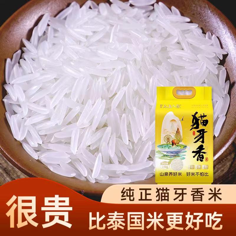 正宗猫牙米香米：煲仔饭的灵魂伴侣，20斤新米真空包装整箱大放送！