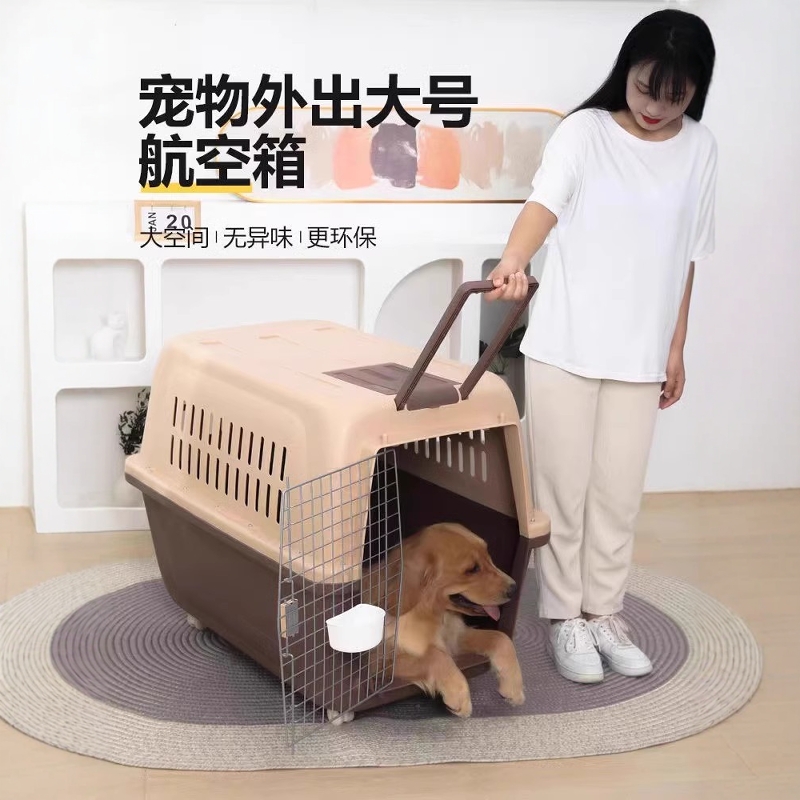 大型犬航空箱真的香！金毛专属托运神器，出门遛狗不慌张！✈️