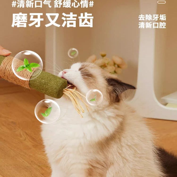 超大猫薄荷猫咪自嗨球，让喵星人停不下来！✨