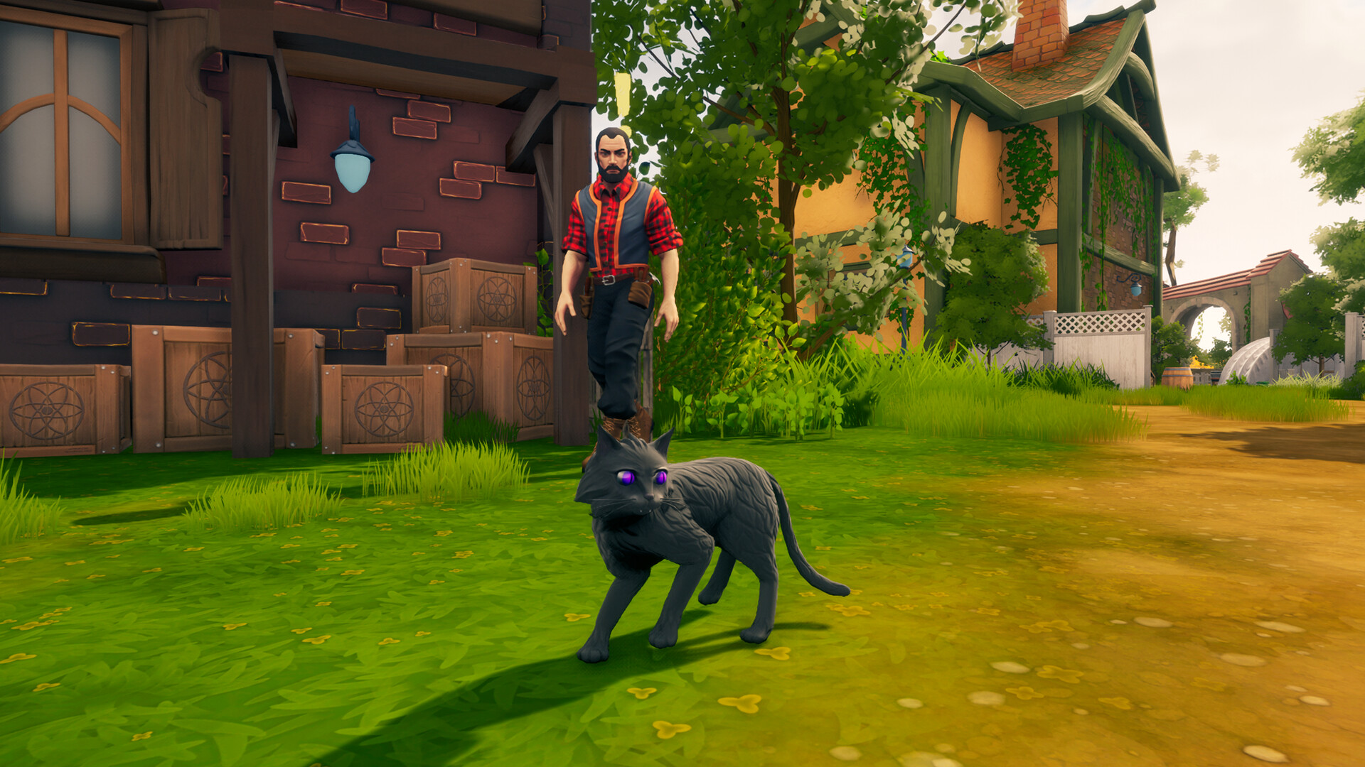 弗恩岛上的女巫