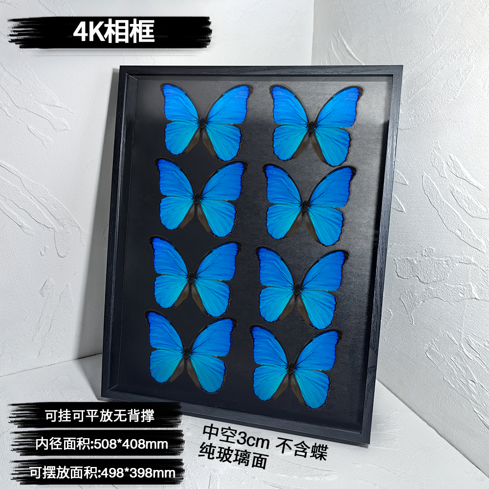 玻璃镜面中空5cm相框昆虫蝴蝶标本植物手工DIY纯黑框架平面摆台，打造梦幻自然风！