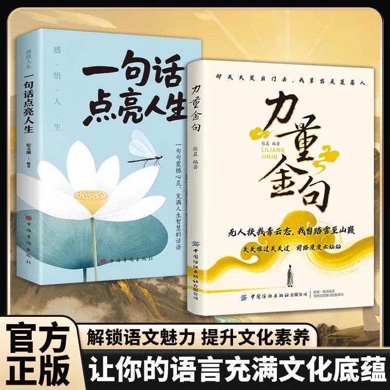硕日SRNE光伏逆变器：绿色能源革命，点亮你的未来