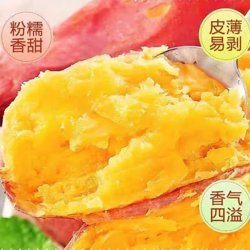 权小威日本代购 | 藏青波点圆点红心短袖恤：复古潮流，让你心动不已！