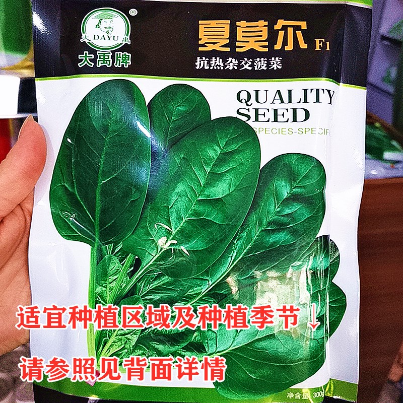 商用大功率辣椒酱菠菜破壁蔬菜打汁神器，开启厨房新革命！