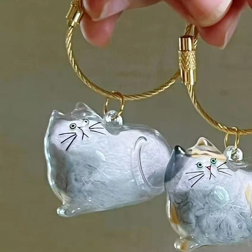 透明猫毛收纳盒：萌猫毛发的创意收藏，让爱永存