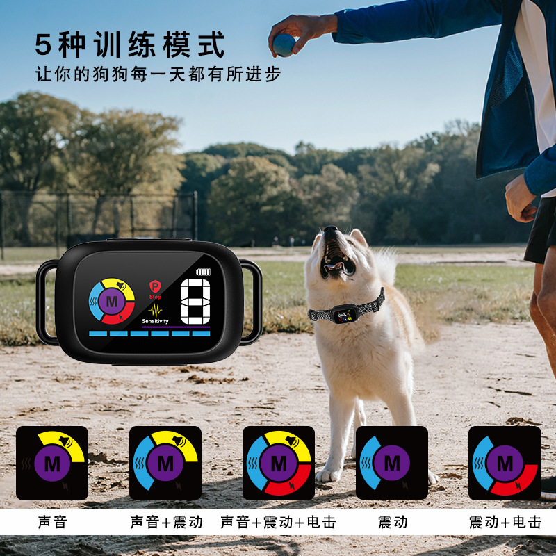 宠悦悦智能定位项圈：狗狗的守护神，再也不怕走丢了！