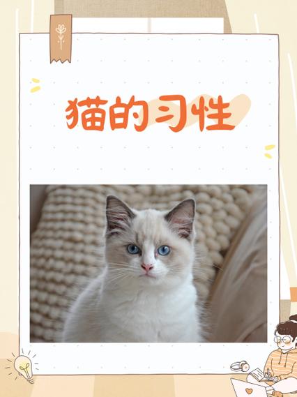 猫朋狗友,宠物间的和谐共处之道