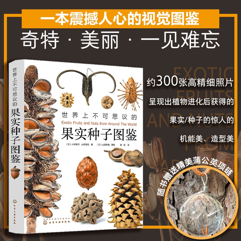 当当网热销：《世界上不可思议的果实种子图鉴》&amp;《我的自然笔记》——开启孩子的科学探险之旅！