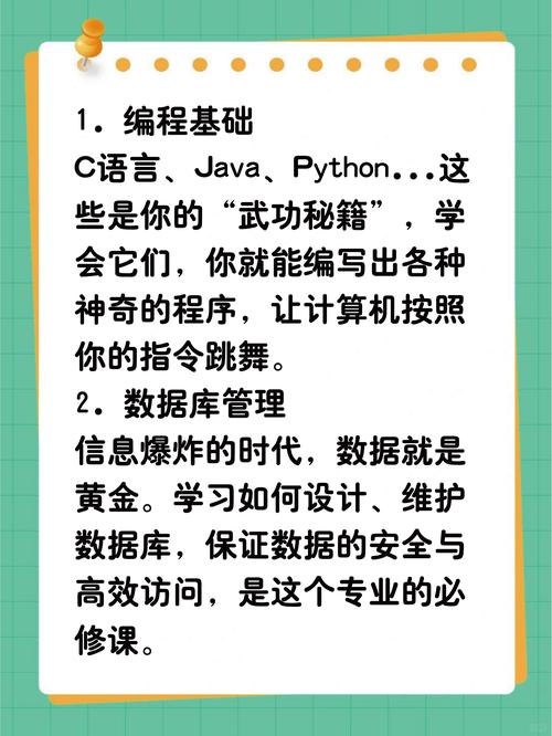 计算机应用和计算机网络应用有什么区别,技术领域与职业路径的差异