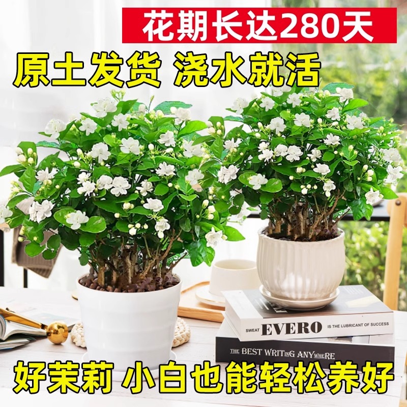 窗台新风尚：仿实木飘窗台板，让你的家瞬间高级感爆棚